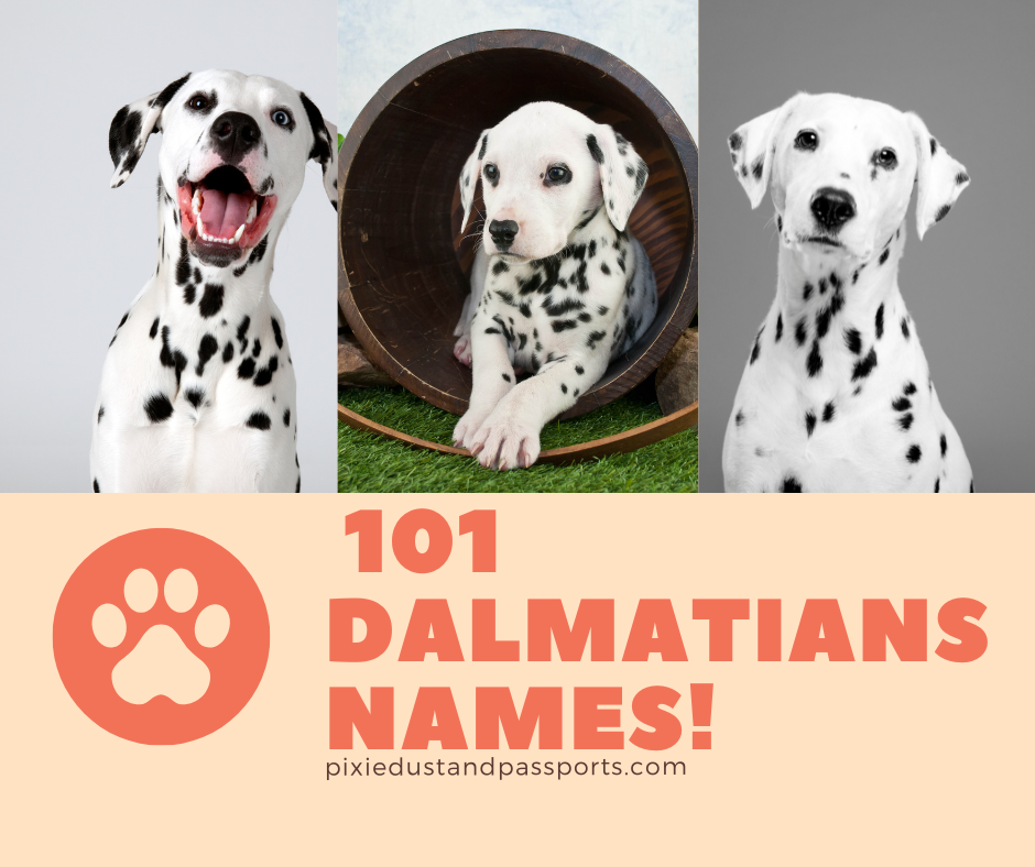 what are the dogs names from 101 dalmatians