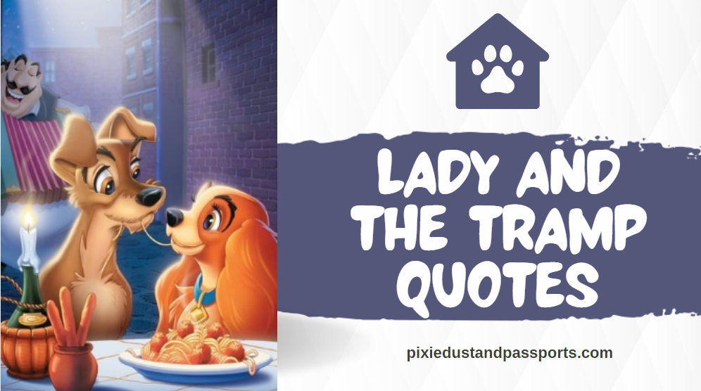 58-best-lady-and-the-tramp-quotes-pixie-dust-and-passports