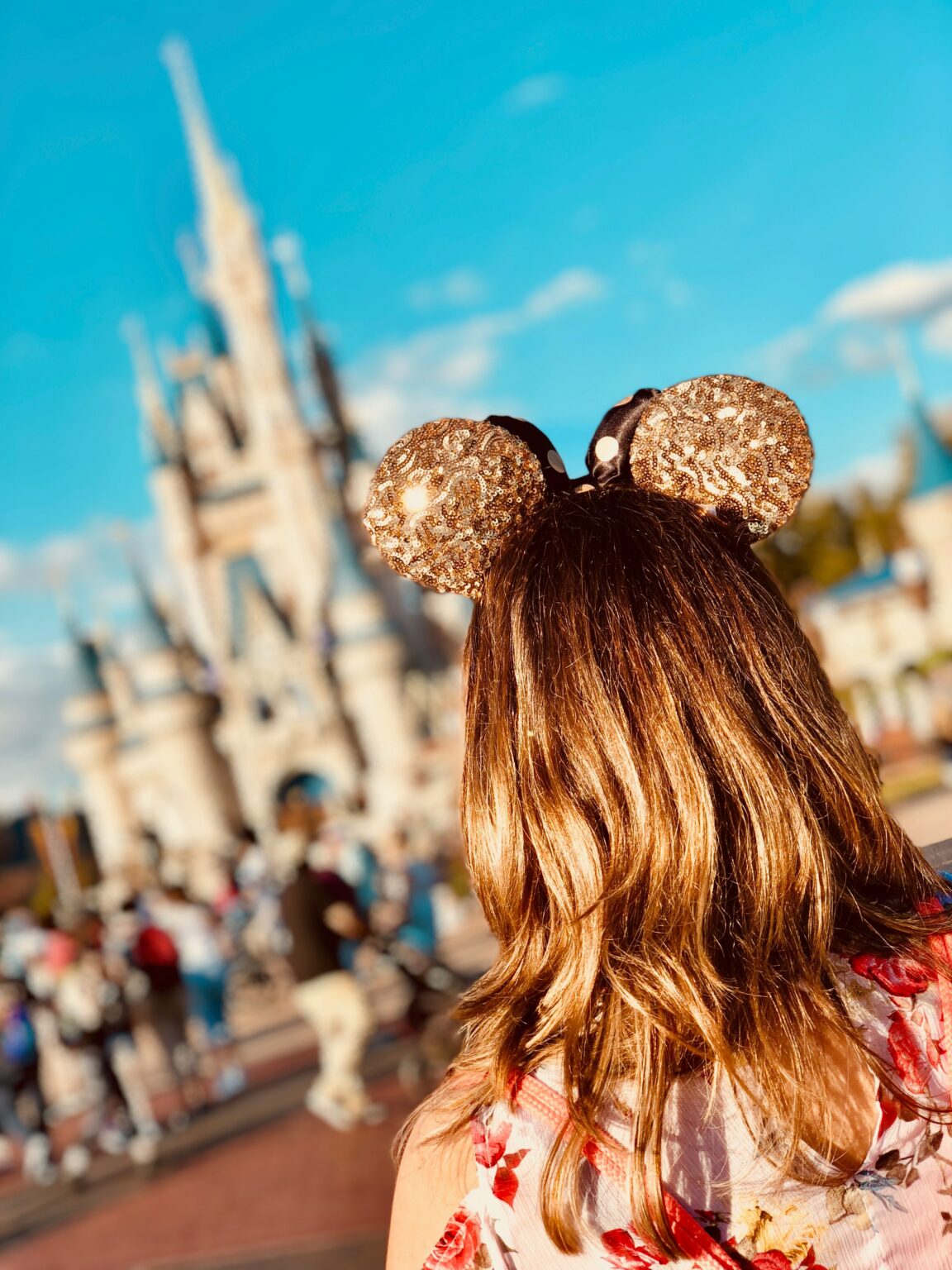What is the Best Disney World Park for Adults? (2024)