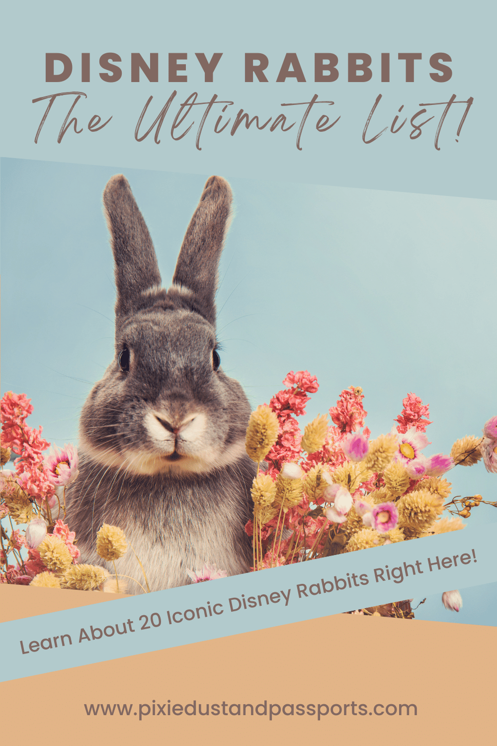 Top 21 Disney Rabbits to Hop Along With! - Pixie Dust and Passports